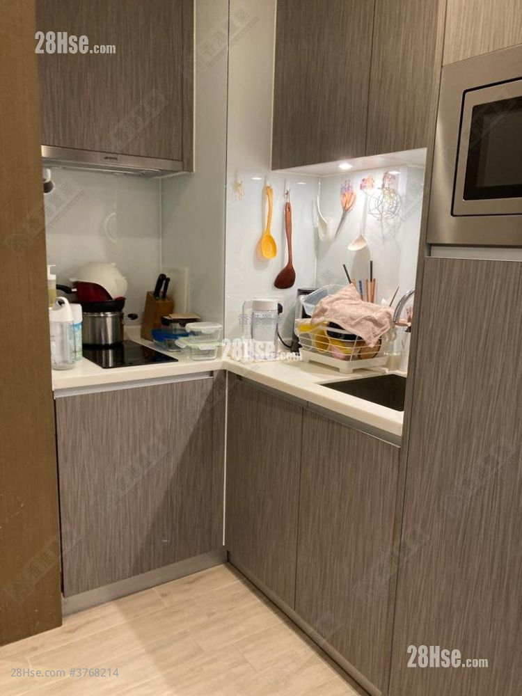 傲凯 售盘 1 房 299 平方尺