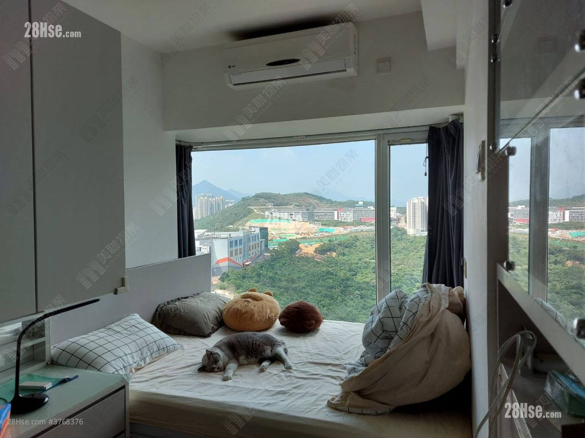 The Beaumount Sell 2 Bedrooms , 1 Bathroom 499 ft²