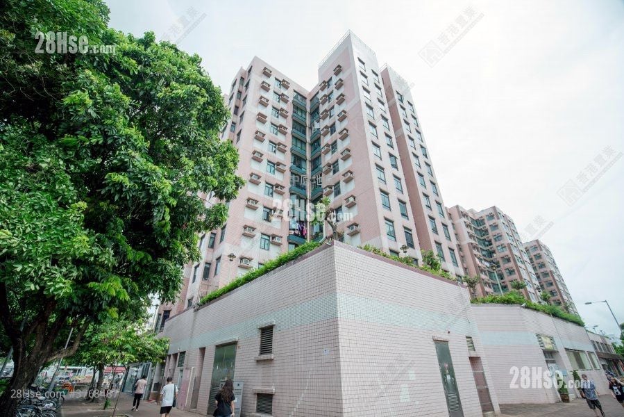 锦珊园 售盘 3 房 635 平方尺