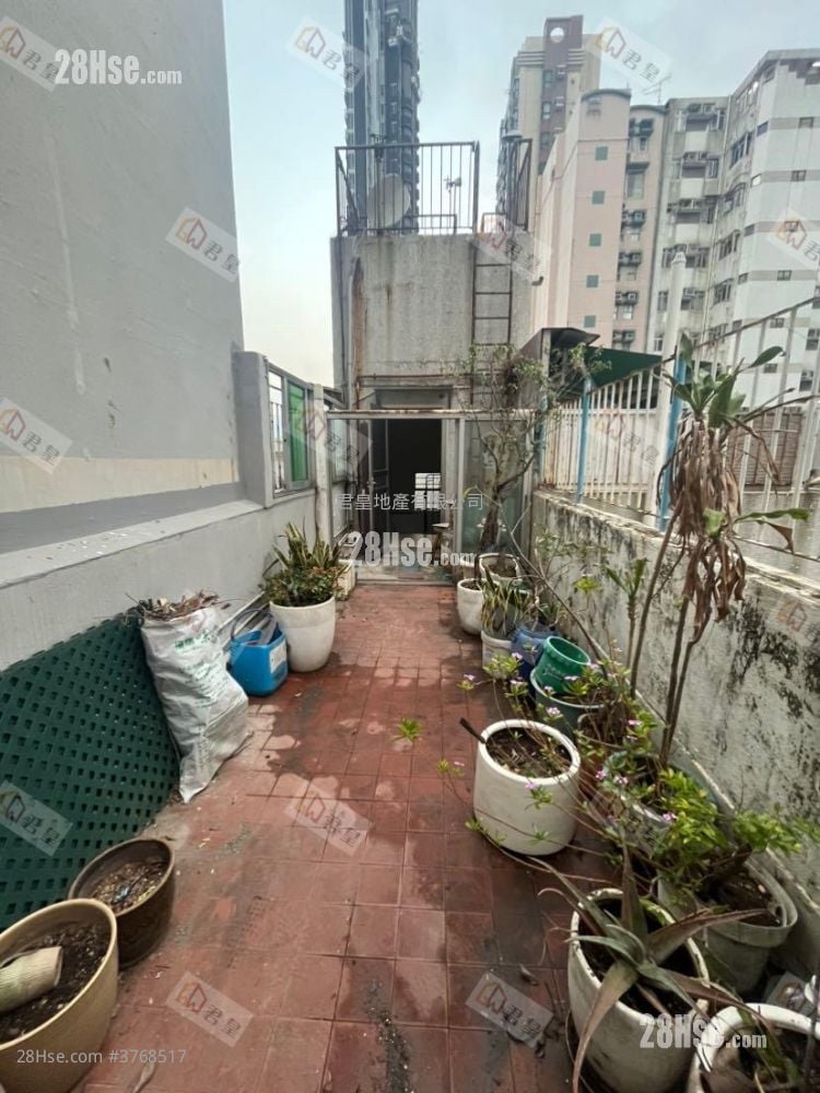 通菜街225号 租盘 1 房 , 1 浴室 336 平方尺