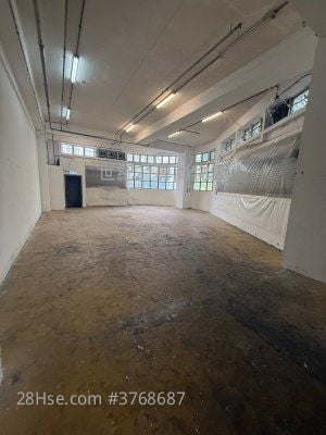 Topsail Plaza Rental 1 Toilet