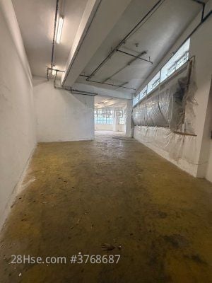 Topsail Plaza Rental 1 Toilet