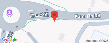 元朗村屋 中层 物业地址