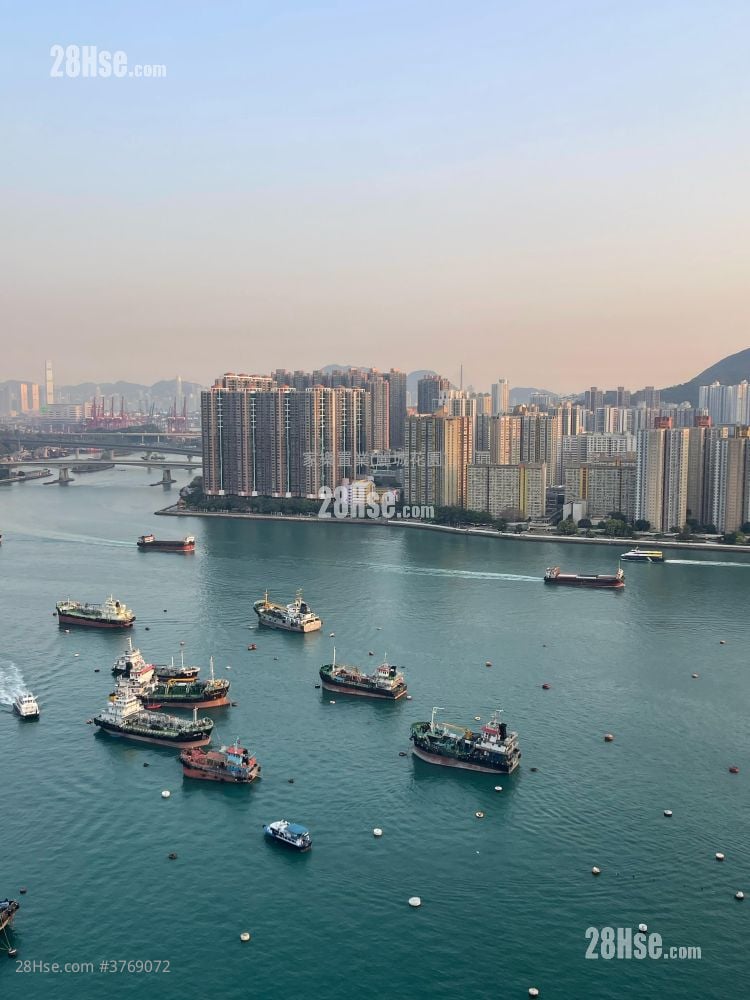 丽城花园 售盘 742 平方尺