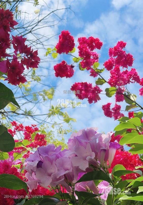 The Bloomsway Sell 4 Bedrooms , 3 Bathrooms 1,510 ft²