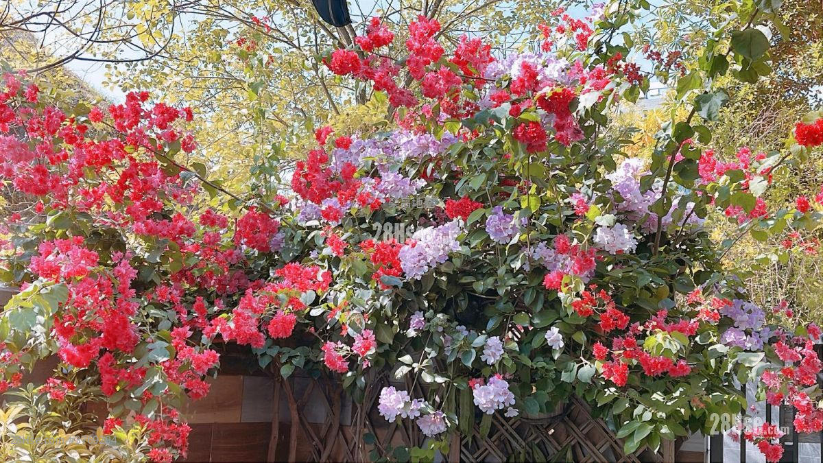 The Bloomsway Sell 4 Bedrooms , 3 Bathrooms 1,510 ft²