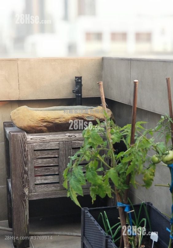 Kowloon Tong Court Sell 3 Bedrooms , 3 Bathrooms 978 ft²