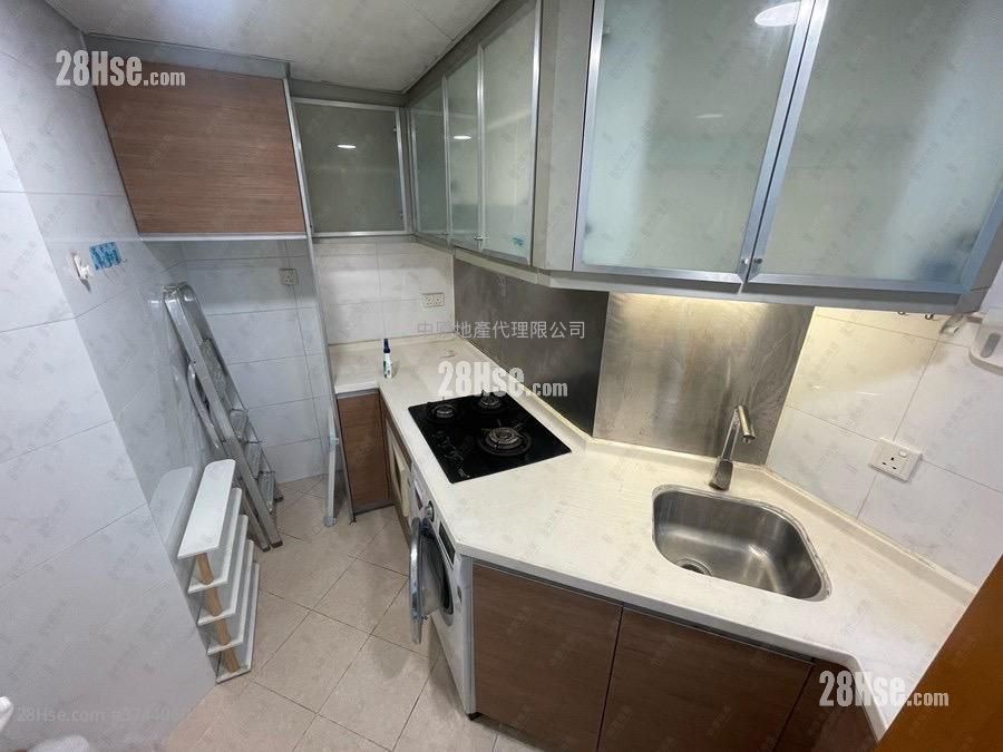 樂悠居 租盤 1 房 , 1 浴室 312 平方呎