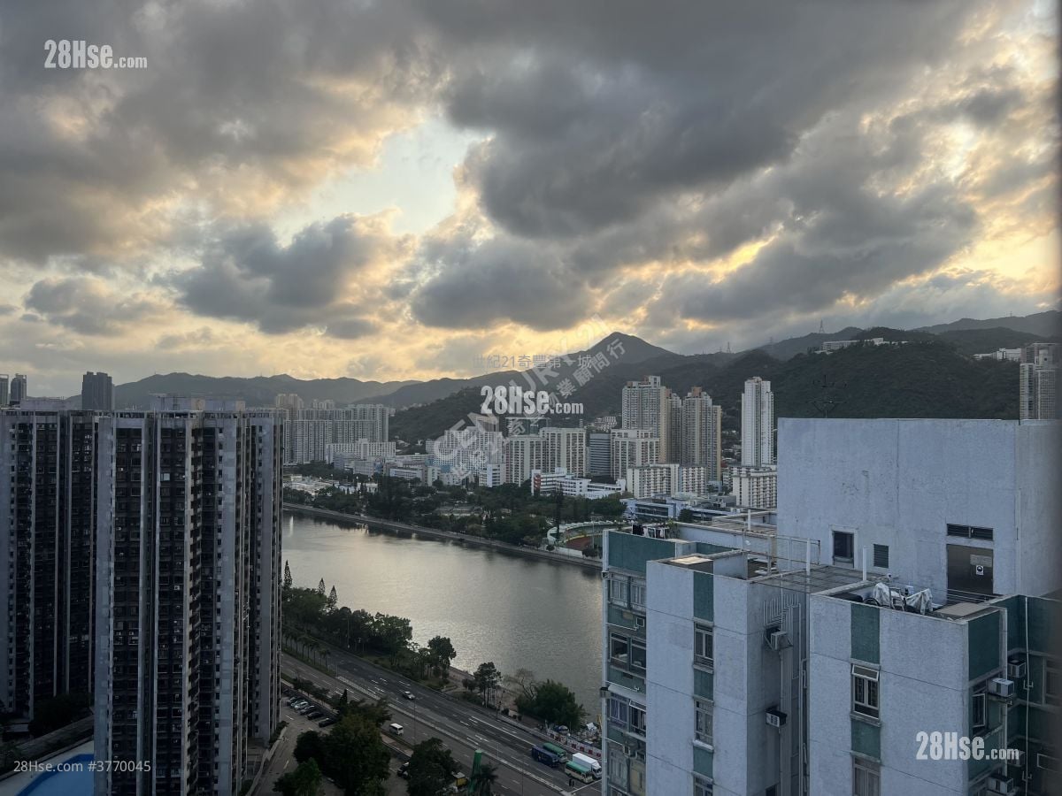 沙田第一城 售盘 504 平方尺