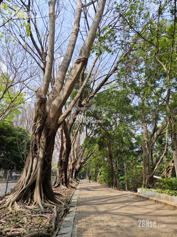 Noble Hill Rental 3 Bedrooms , 1 Bathroom 620 ft²