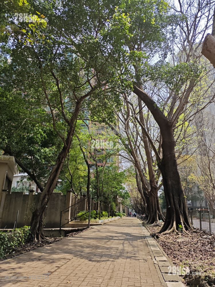 Noble Hill Rental 3 Bedrooms , 1 Bathroom 620 ft²