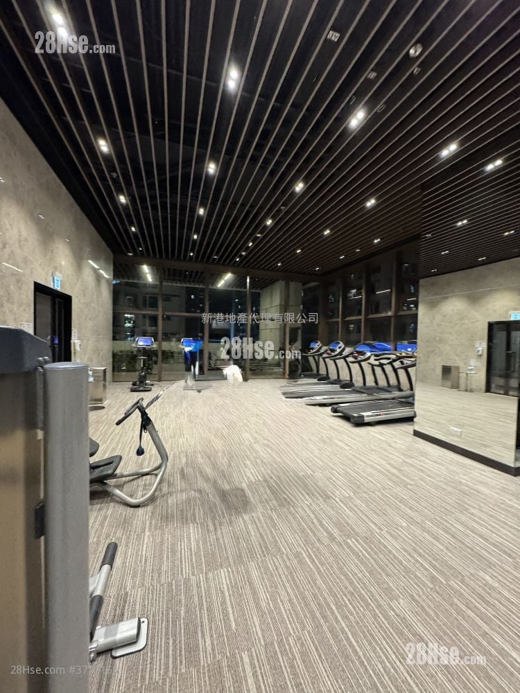 93Pauchungstreet Rental 1 Bedroom , 1 Bathroom 333 ft²