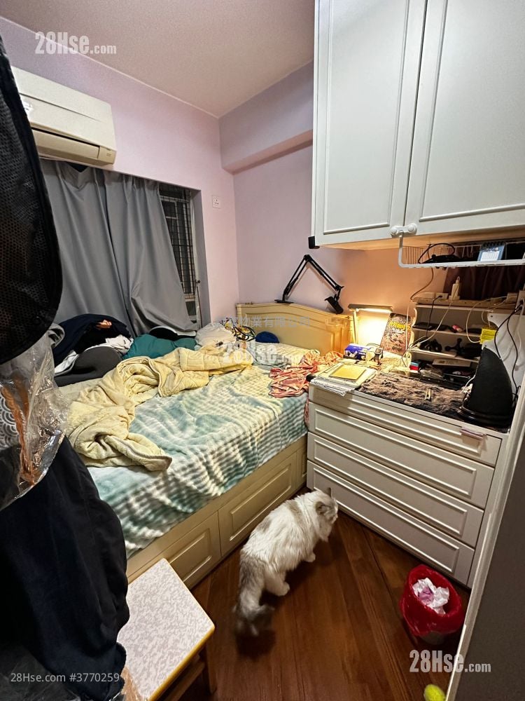 建利大厦 售盘 377 平方尺