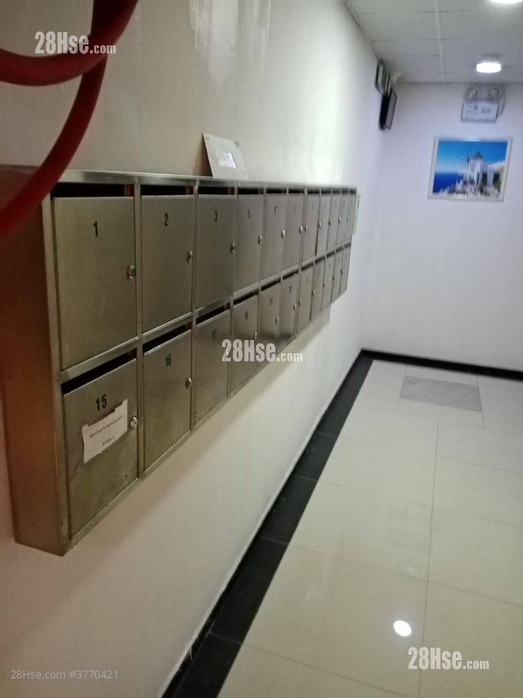 美顺工业大厦 租盘 5+ 房