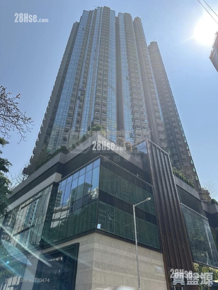 朗誉 售盘 1 房 312 平方尺