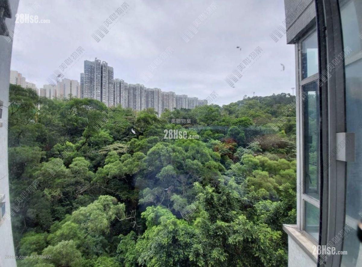 Laguna City Sell 2 Bedrooms 522 ft²