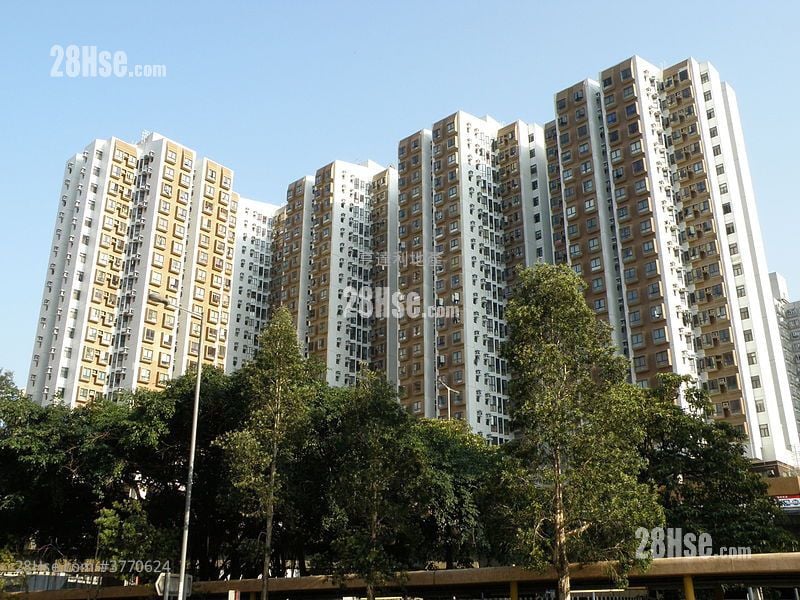 Perfect Mount Gardens Sell 2 Bedrooms , 1 Bathroom 450 ft²