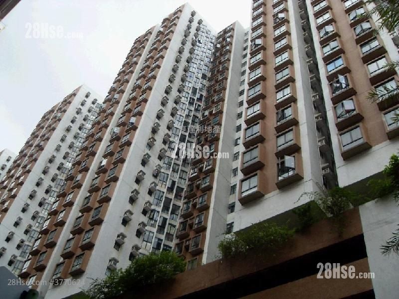 Perfect Mount Gardens Sell 2 Bedrooms , 1 Bathroom 450 ft²