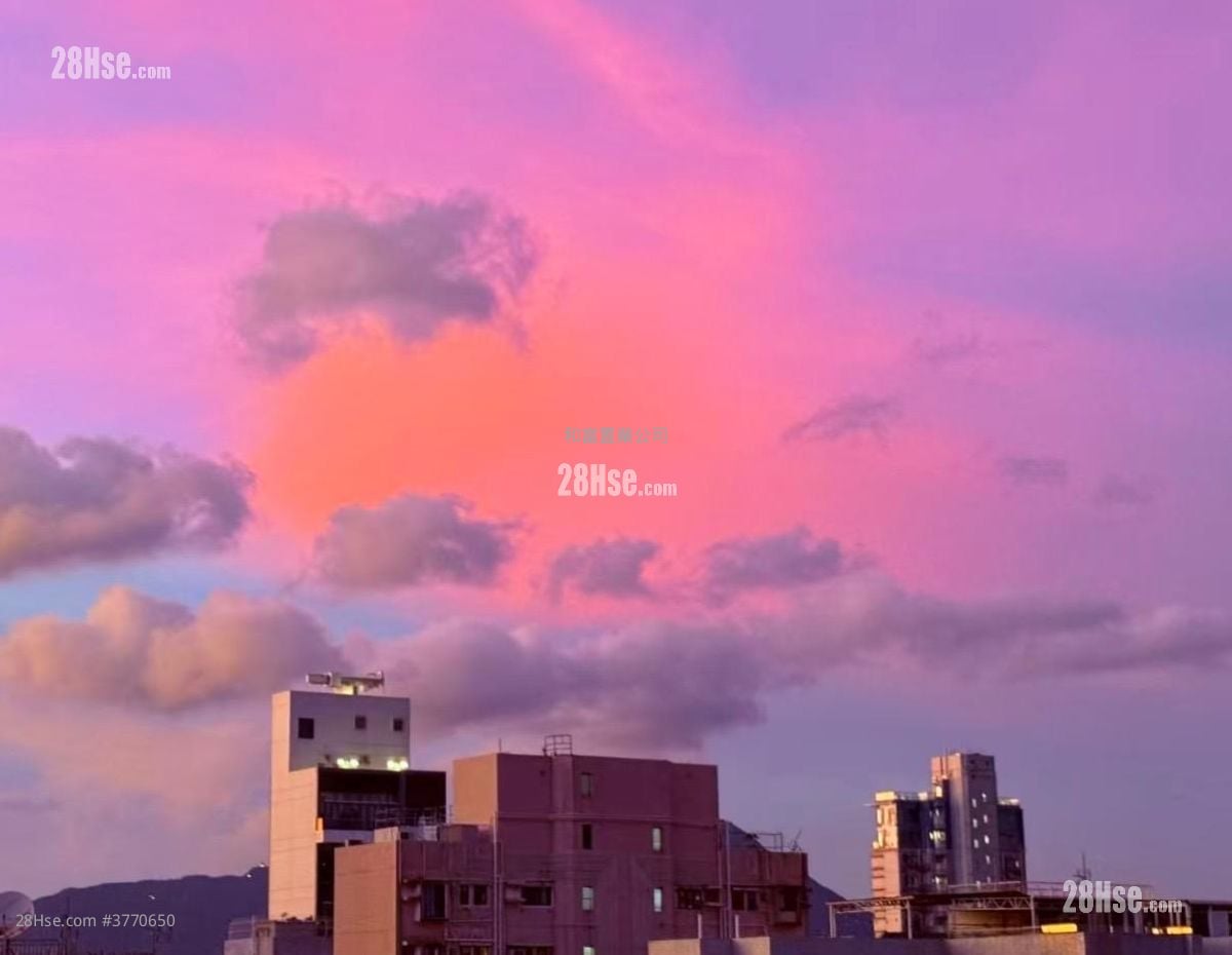 富景阁 售盘 3 房 , 1 浴室 510 平方尺