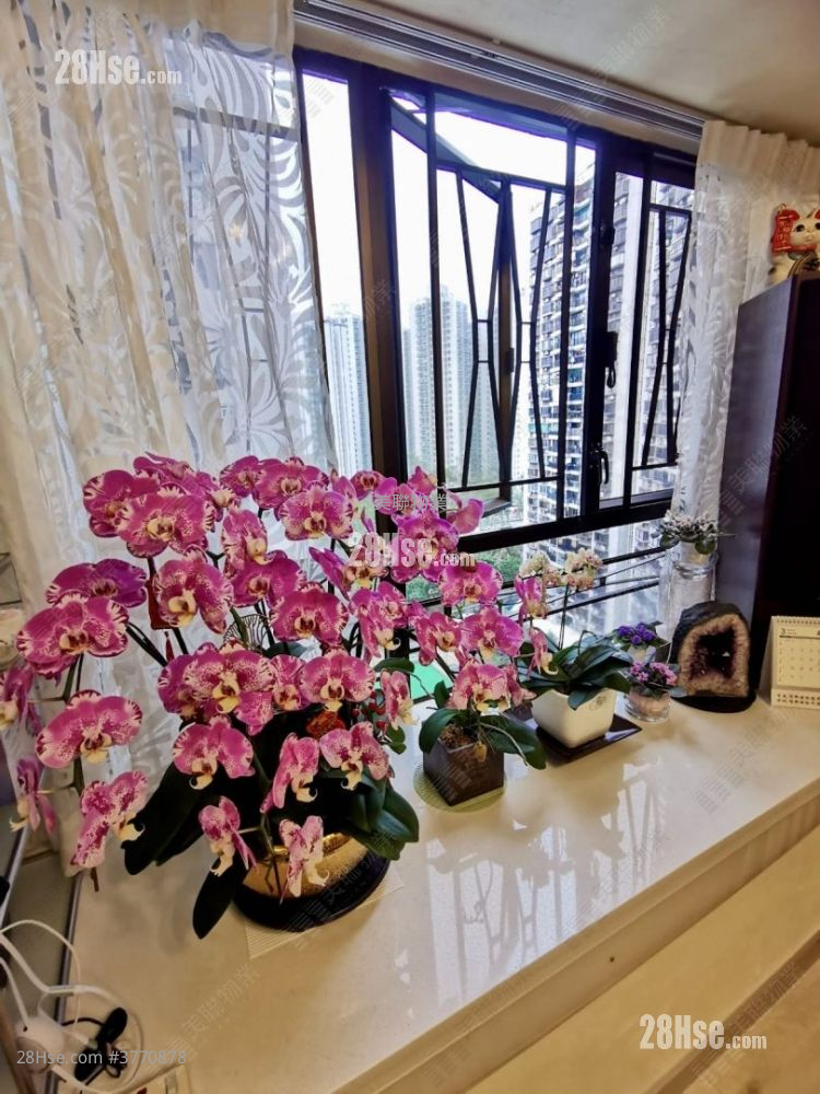 Belair Gardens Sell 2 Bedrooms , 1 Bathroom 465 ft²