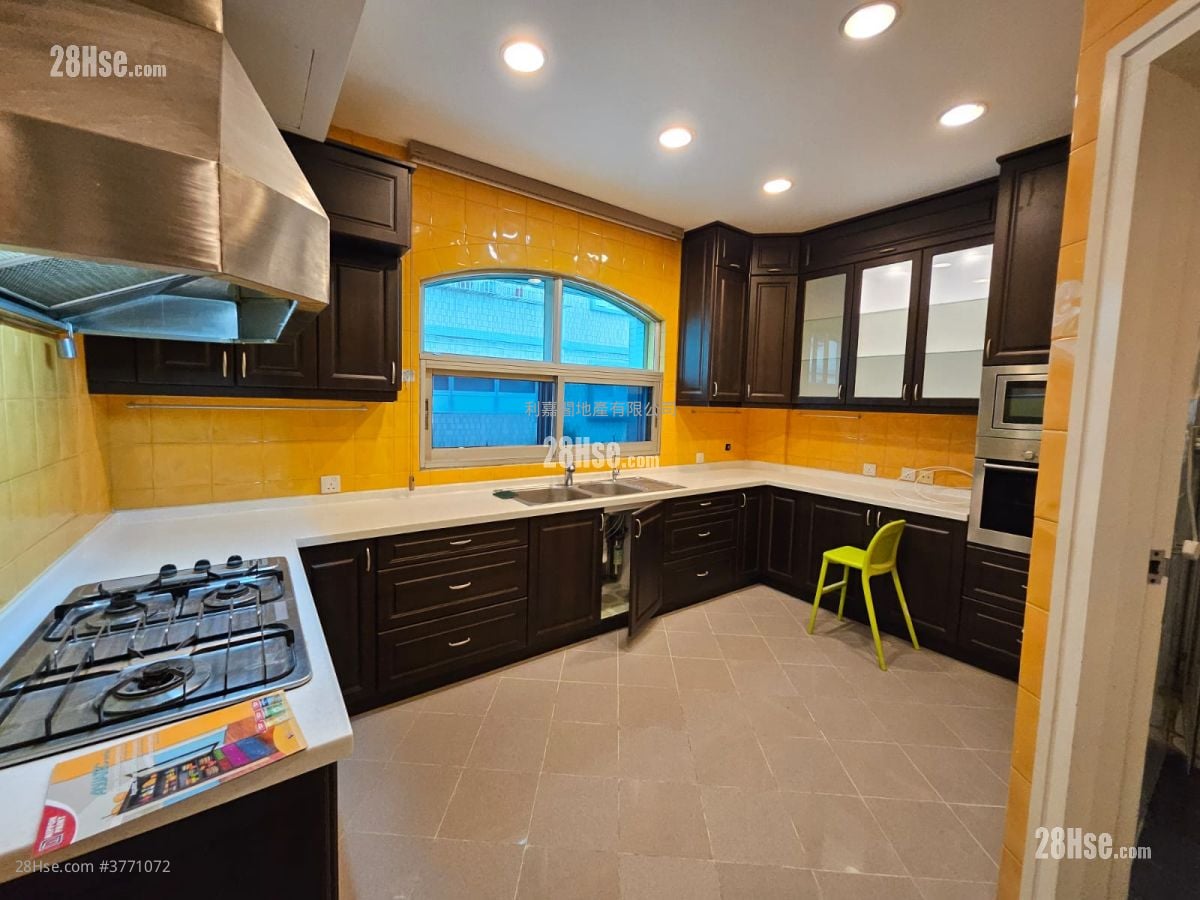 歡迎參觀找我，61618223，Ivan