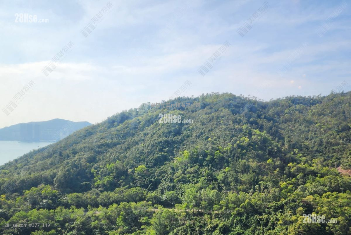 维景湾畔 售盘 2 房 , 1 浴室 543 平方尺