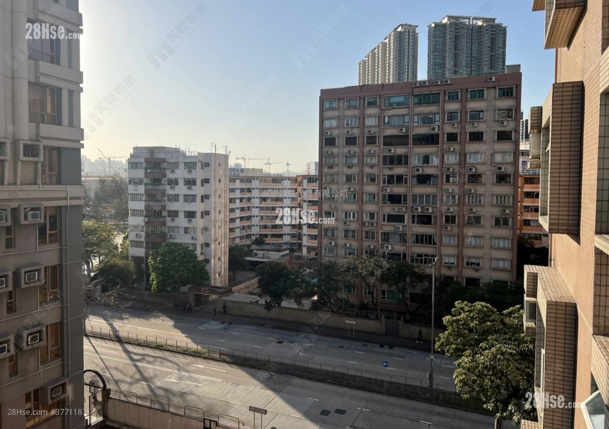 碧丽园 售盘 4 房 1,152 平方尺