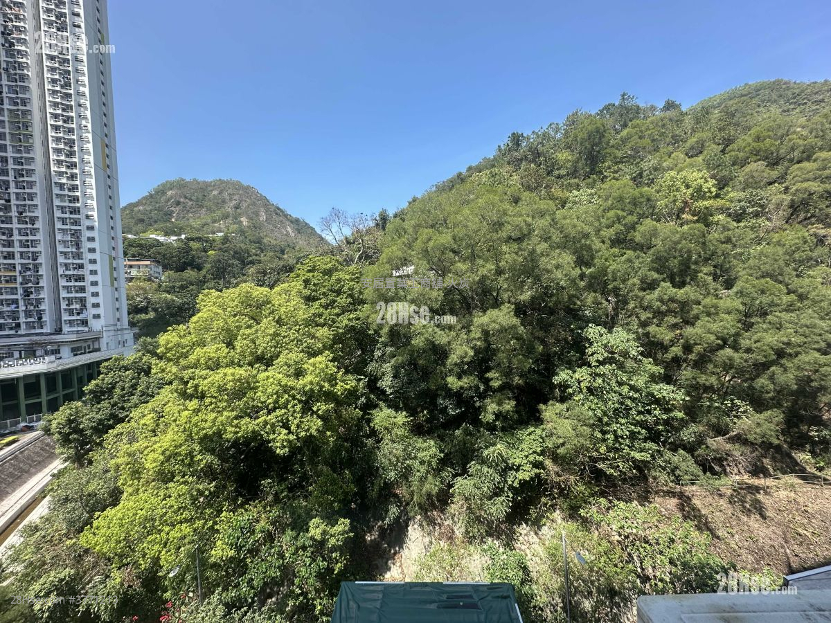 華麗工業中心 租盤