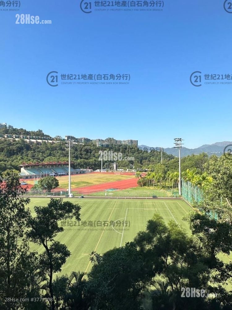 Silicon Hill Rental 2 Bedrooms , 1 Bathroom 418 ft²