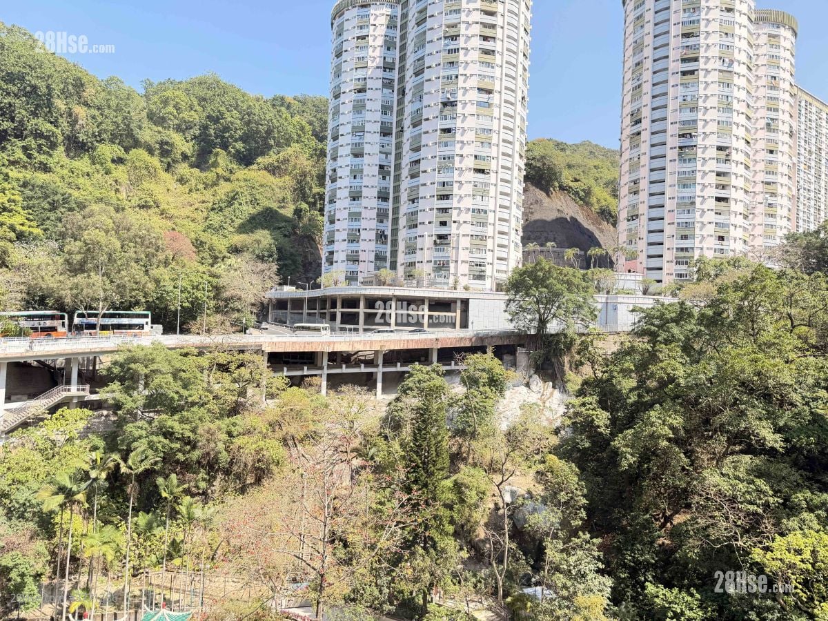 金乐居 售盘 170 平方尺