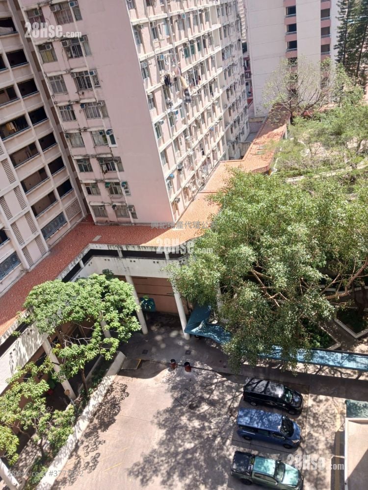 翠屏北邨 售盘 开放式间隔 , 1 浴室 377 平方尺