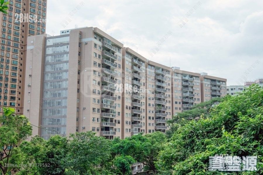 联邦花园 售盘 3 房 1,166 平方尺