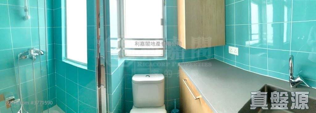 Ryan Mansion Sell Studio , 1 Bathroom 337 ft²