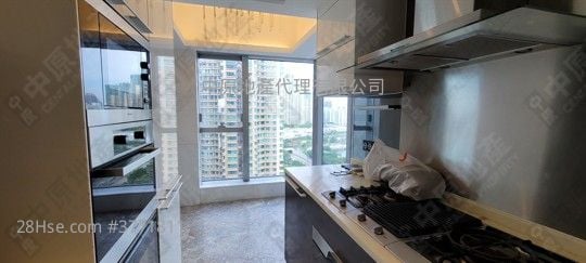 珑玺 售盘 4 房 1,309 平方尺