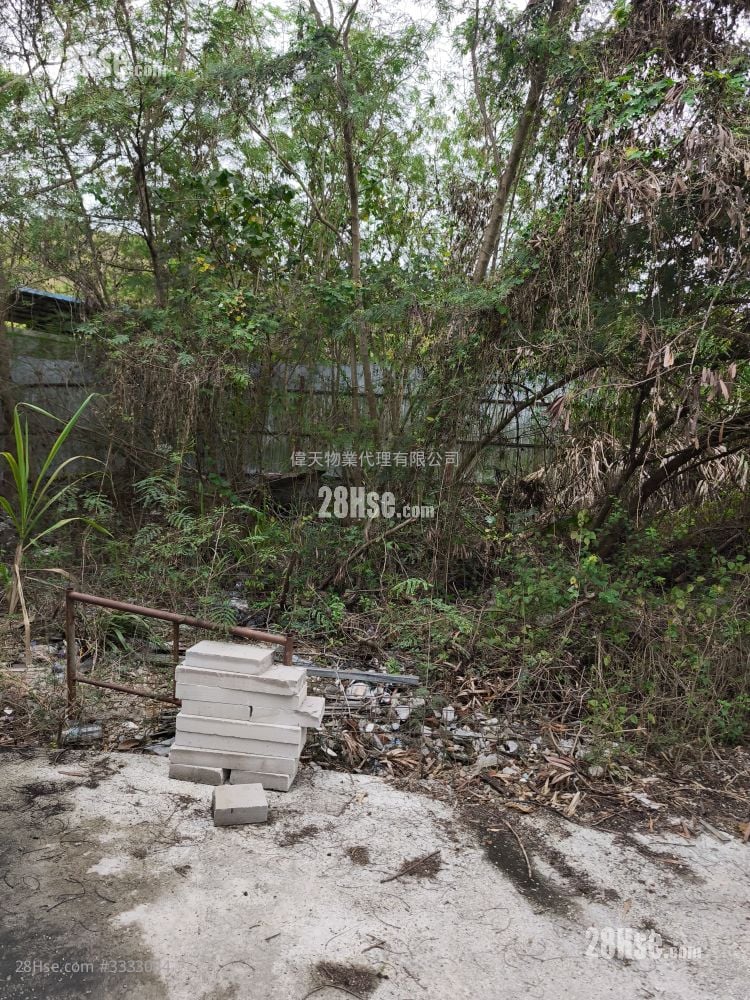 土地 租盘 1 浴室 10,000 平方尺