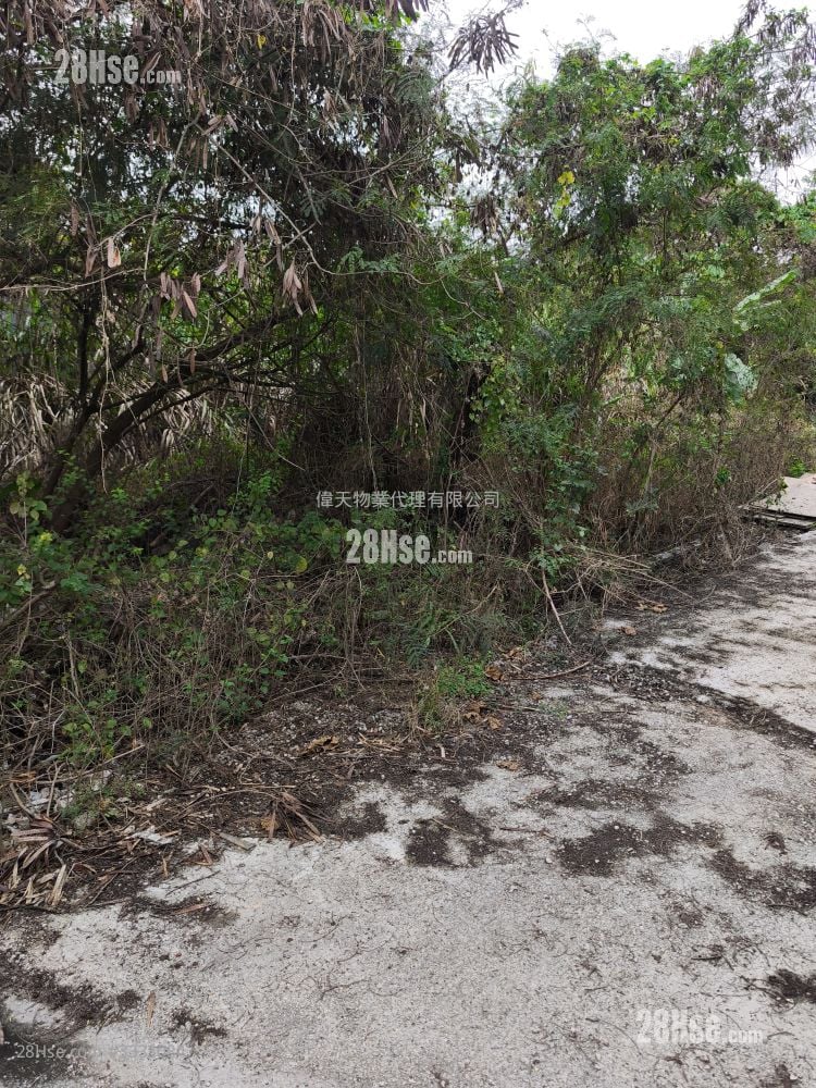 土地 租盘 1 浴室 10,000 平方尺