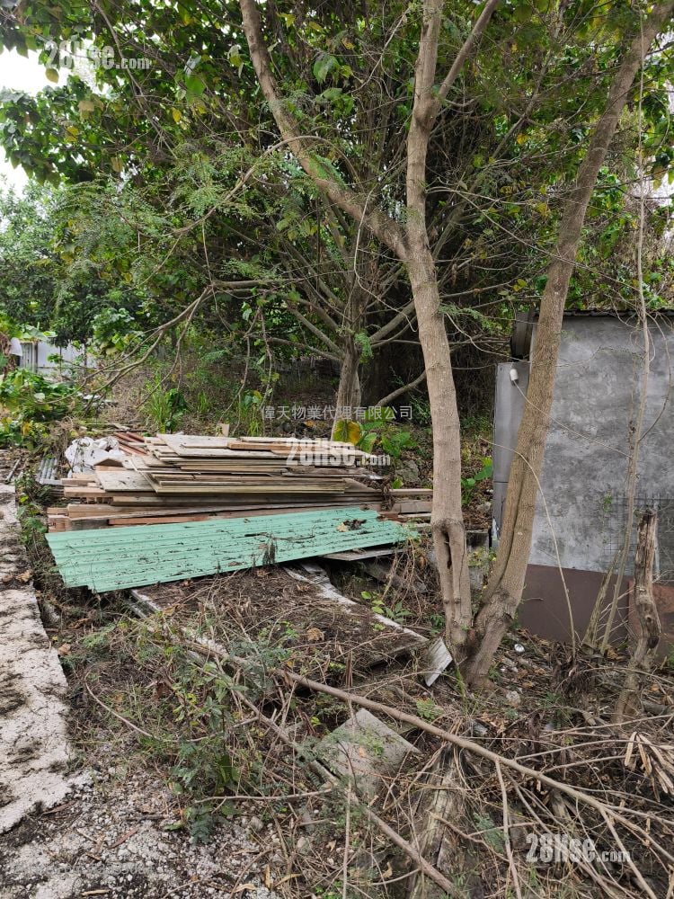 土地 租盘 1 浴室 10,000 平方尺