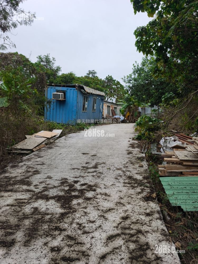 土地 租盘 1 浴室 10,000 平方尺