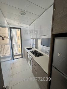 喜荟 售盘 1 房 397 平方尺