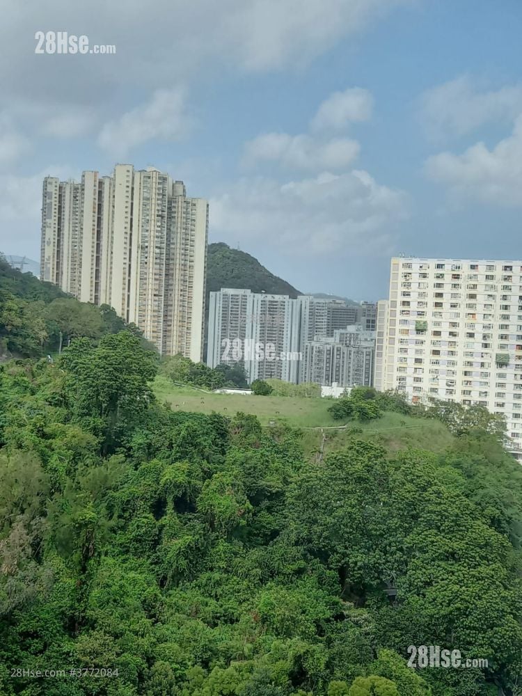 峰华邨 售盘 2 房 , 1 浴室 385 平方尺