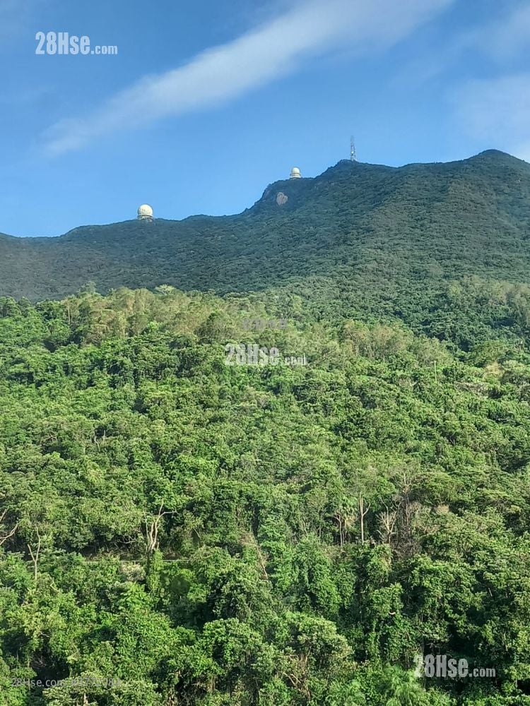 峰华邨 售盘 2 房 , 1 浴室 385 平方尺