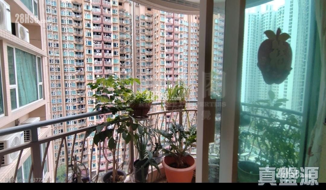 栢慧豪园 售盘 3 房 , 2 浴室 677 平方尺