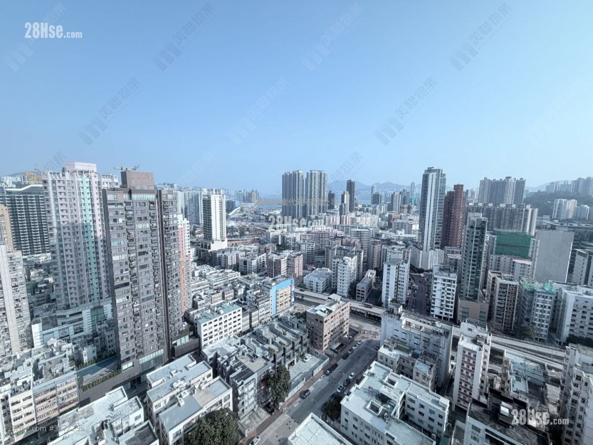 The Bloomsville Sell 3 Bedrooms 704 ft²