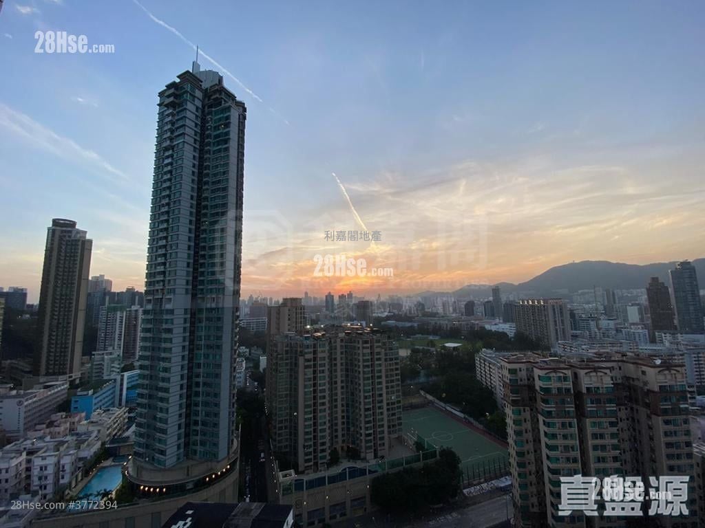 Downtown 38 售盘 1 房 309 平方尺