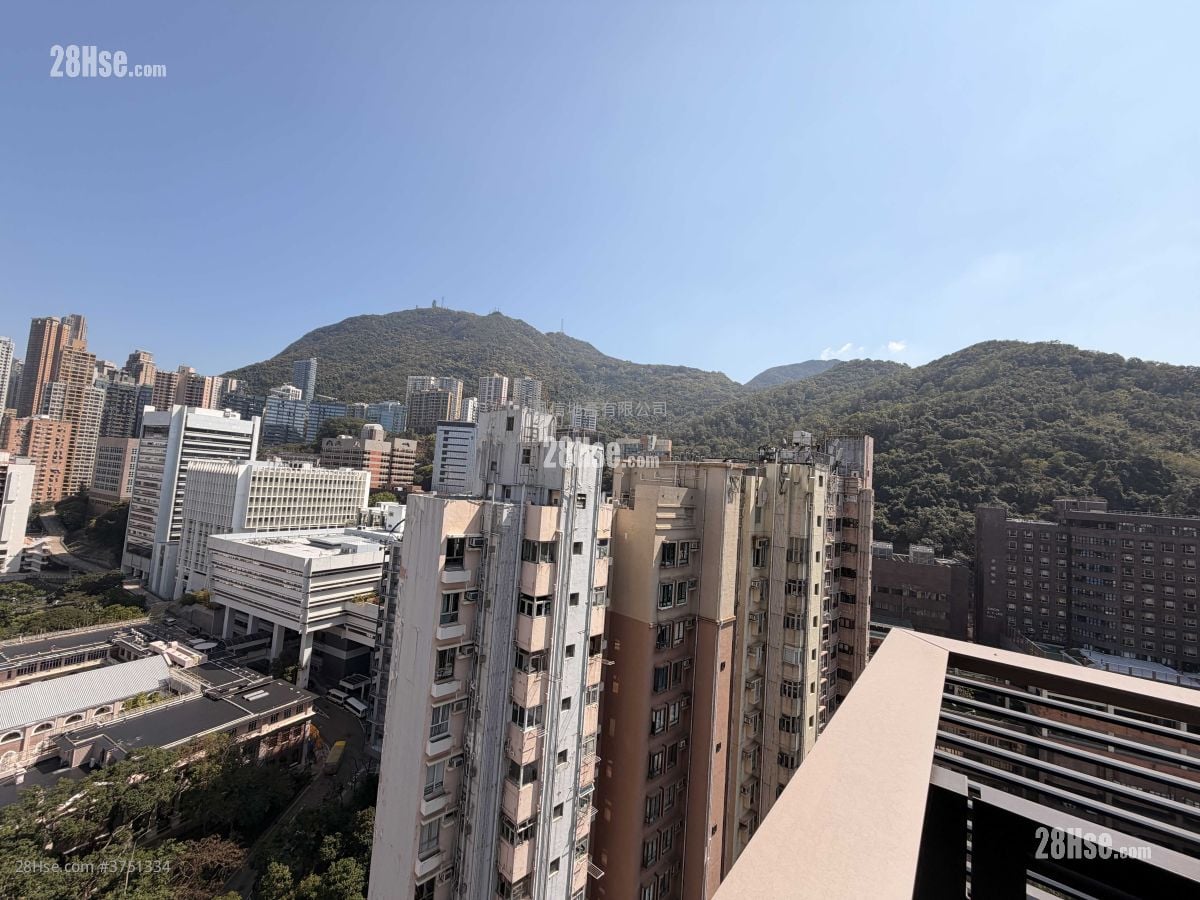 The Hilltop Rental 2 Bedrooms , 1 Bathroom 555 ft²