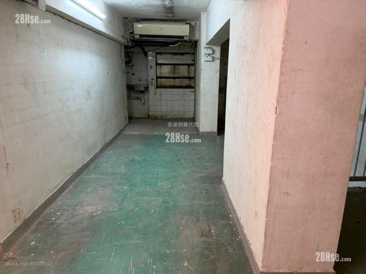 447 Reclamation Street Rental