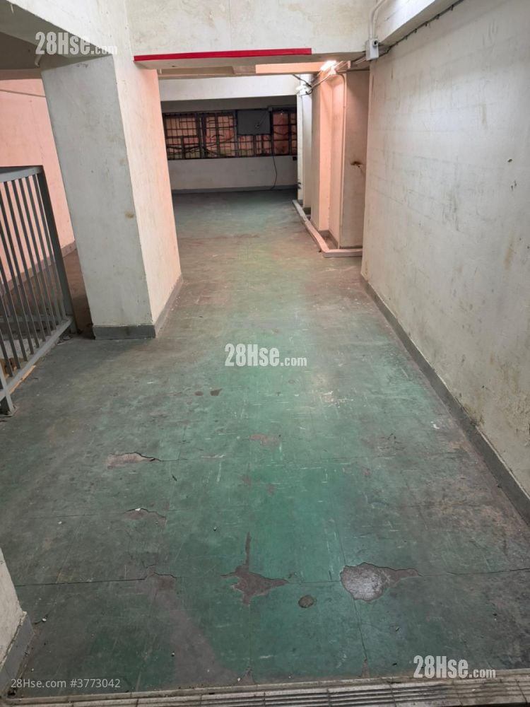 447 Reclamation Street Rental