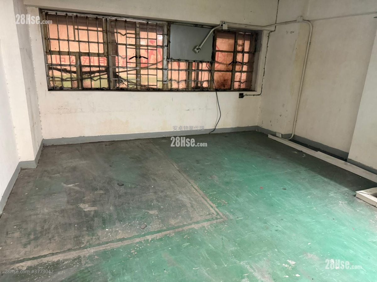 447 Reclamation Street Rental