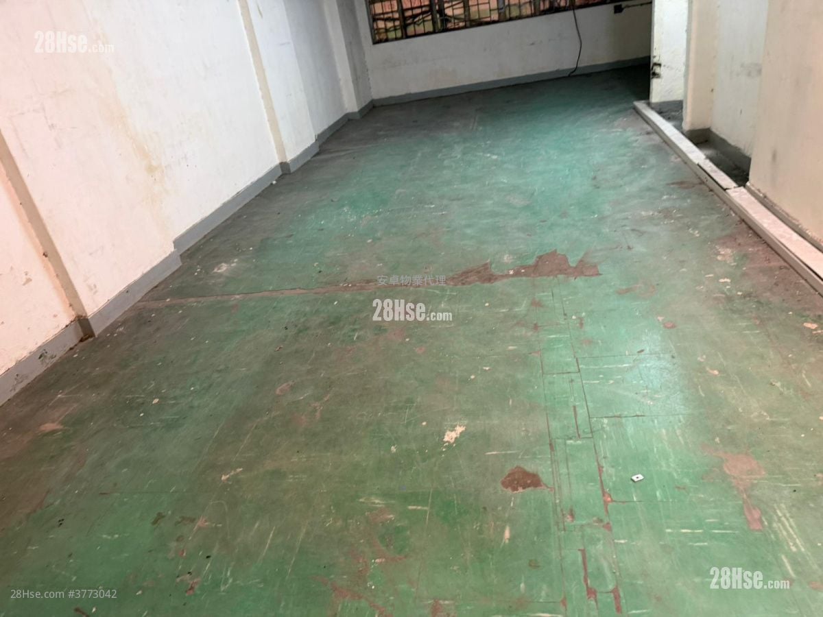 447 Reclamation Street Rental