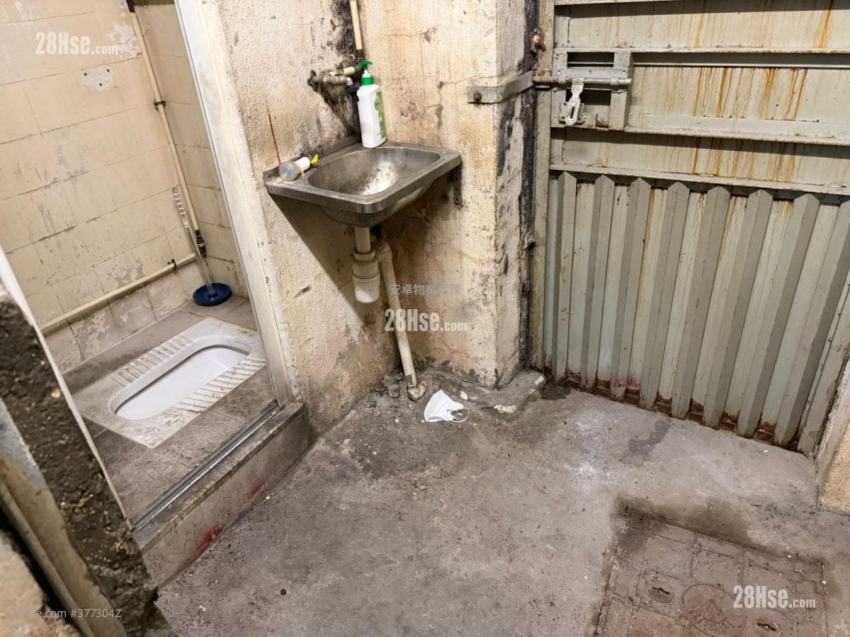 447 Reclamation Street Rental